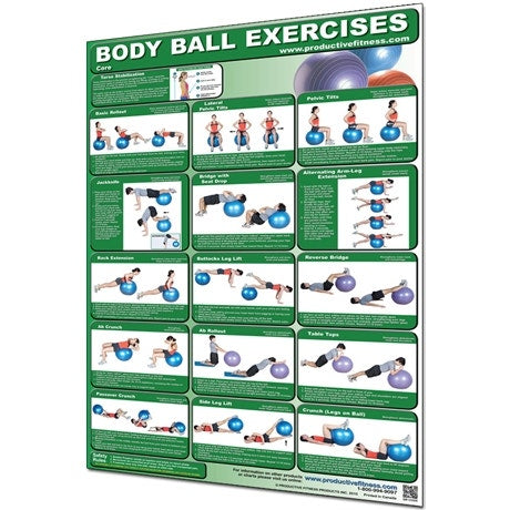 Productive Fitness Fitness Chart Body Ball - Core