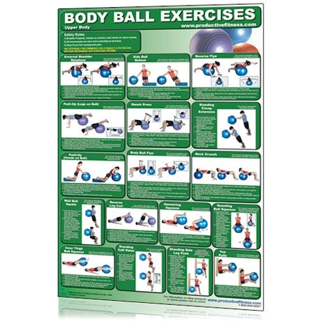 Productive Fitness Body Ball Fitness Chart - Upper Body