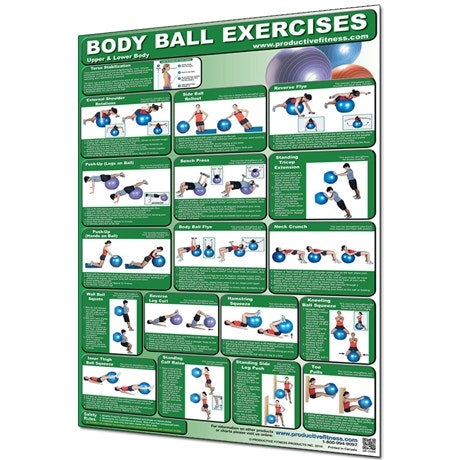 Productive Fitness Body Ball Exercises Chart - Upper/Lower Body