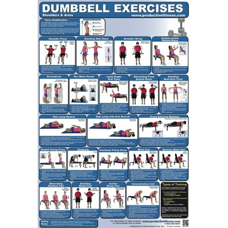 Productive Fitness Fitness Chart Dumbbell Shoulders & Arms