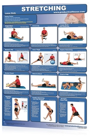 Productive Fitness Chart, Stretch Lower Body Lam. 24x36