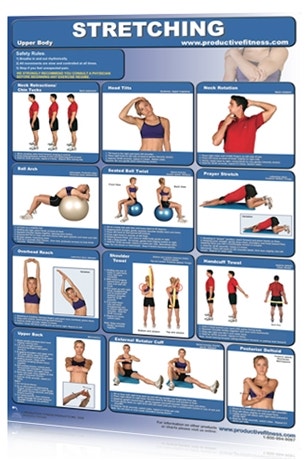Productive Fitness Chart, Stretching Exercises - Upper body