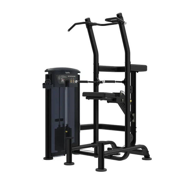 ELEMENT FITNESS 9520 ASSISTED CHIN/ DIP COMBO MERCURY COMMERCIAL GYM