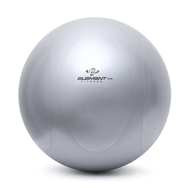 Element Fitness Commercial 65cm Stability Ball