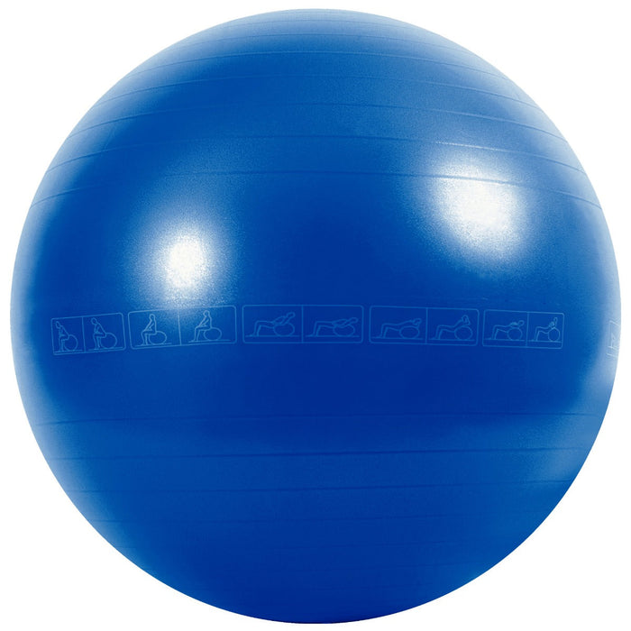 Anti-Burst Gym Ball 65cm, Printed, Blue