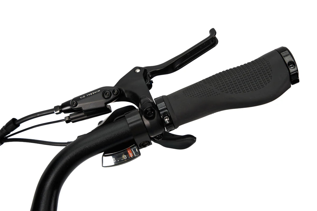 SYNERGY CITY 2 COMMUTER E-BIKE (ONLINE ONLY)