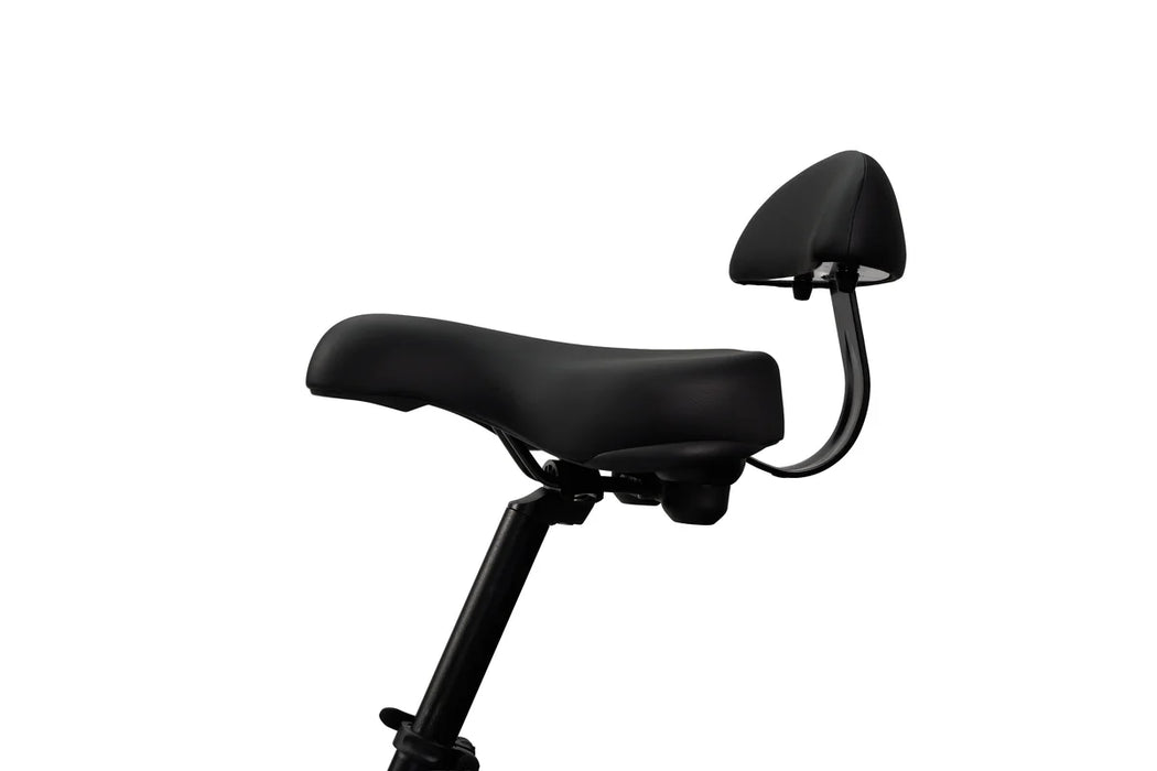SYNERGY TRIAD 3-WHEEL E-BIKE (ONLINE ONLY)