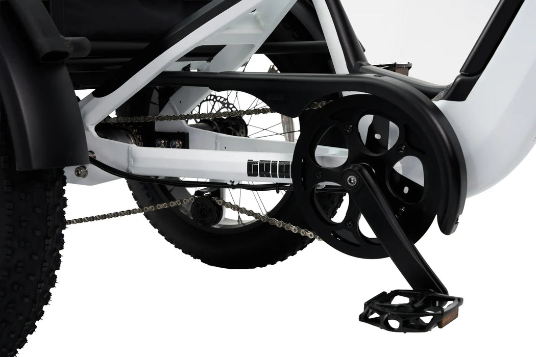 SYNERGY TRIAD 3-WHEEL E-BIKE (ONLINE ONLY)