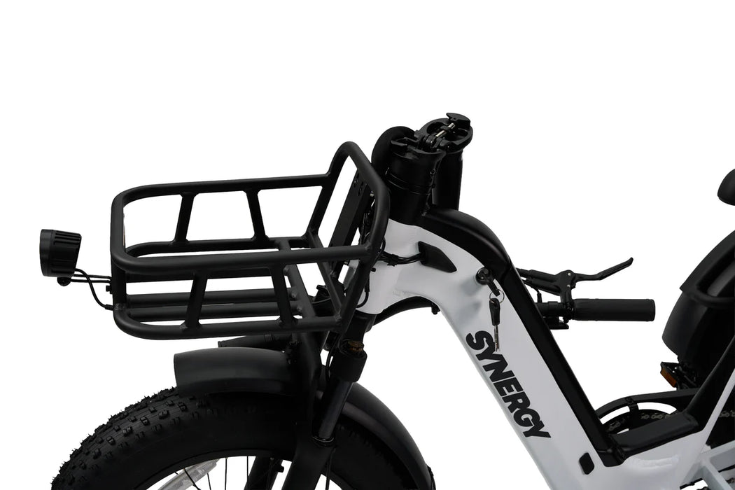 SYNERGY TRIAD 3-WHEEL E-BIKE (ONLINE ONLY)