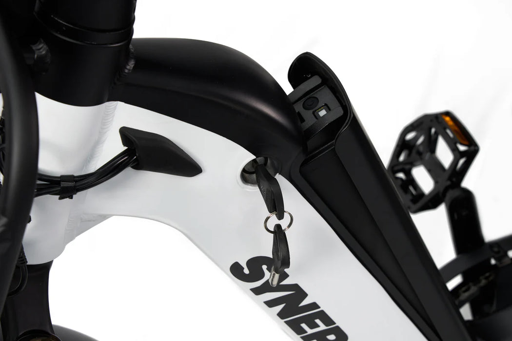 SYNERGY TRIAD 3-WHEEL E-BIKE (ONLINE ONLY)