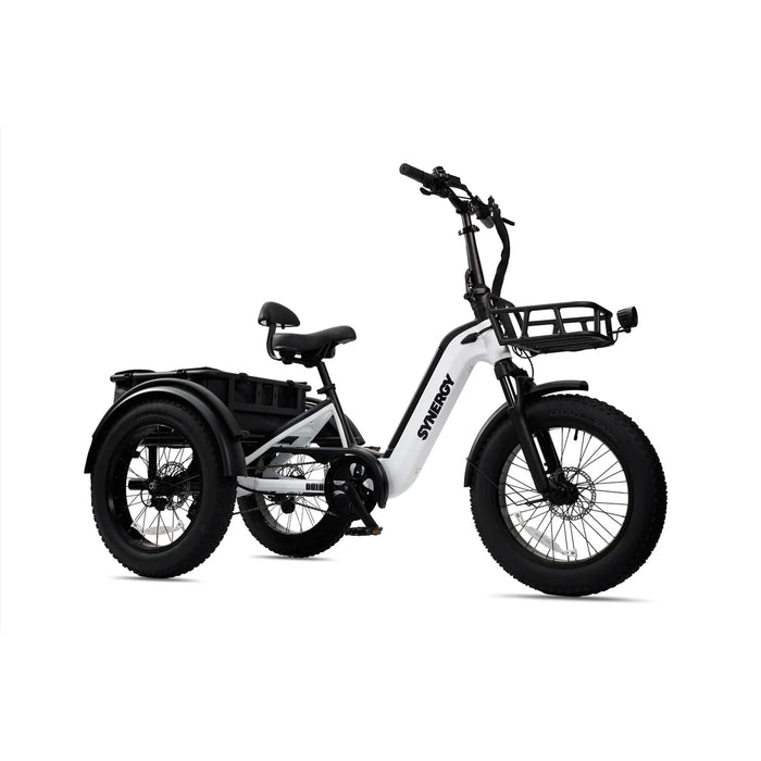SYNERGY TRIAD 3-WHEEL E-BIKE (ONLINE ONLY)