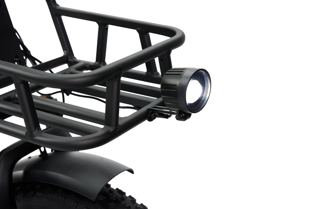 SYNERGY TRIAD 3-WHEEL E-BIKE (ONLINE ONLY)