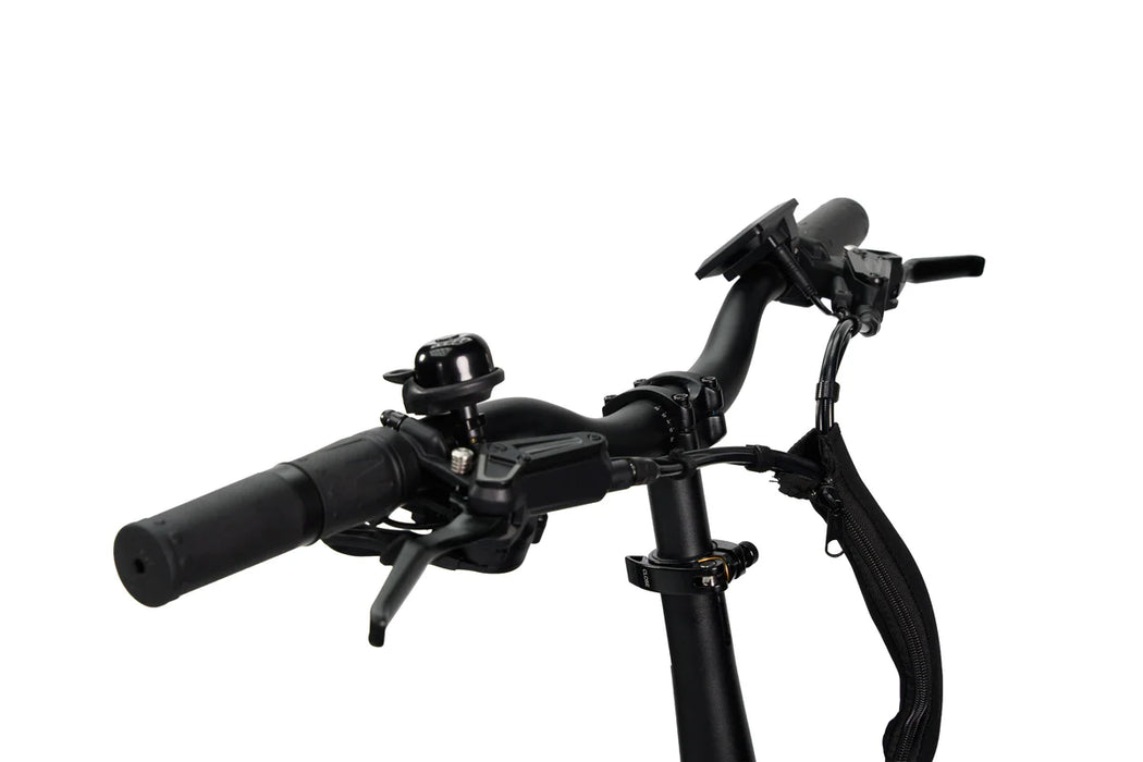 SYNERGY TRIAD 3-WHEEL E-BIKE (ONLINE ONLY)