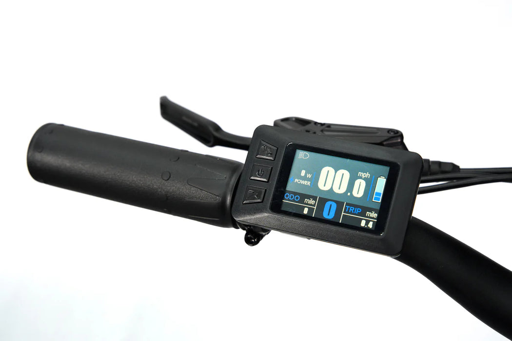 SYNERGY TRIAD 3-WHEEL E-BIKE (ONLINE ONLY)