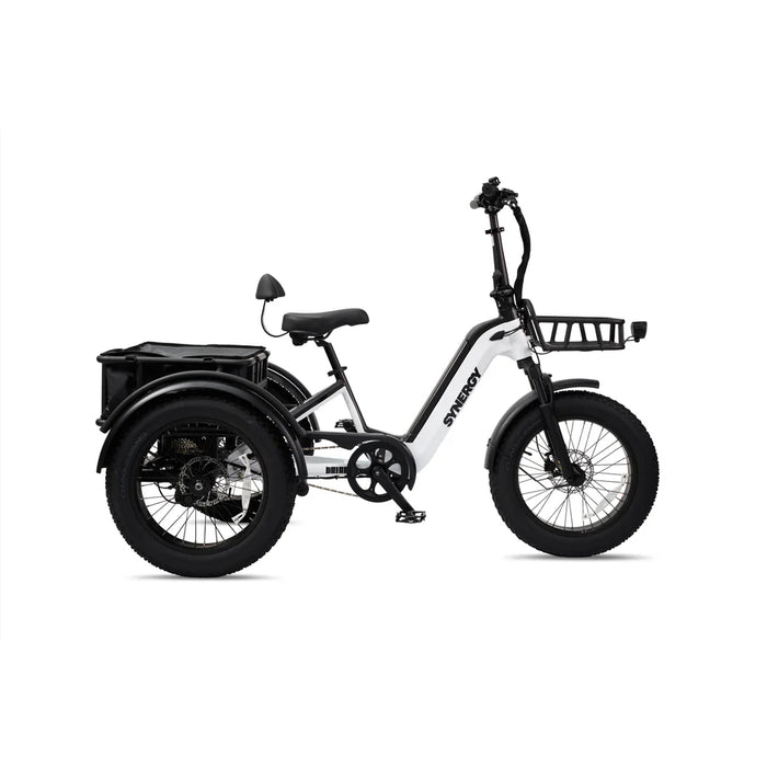 SYNERGY TRIAD 3-WHEEL E-BIKE (ONLINE ONLY)