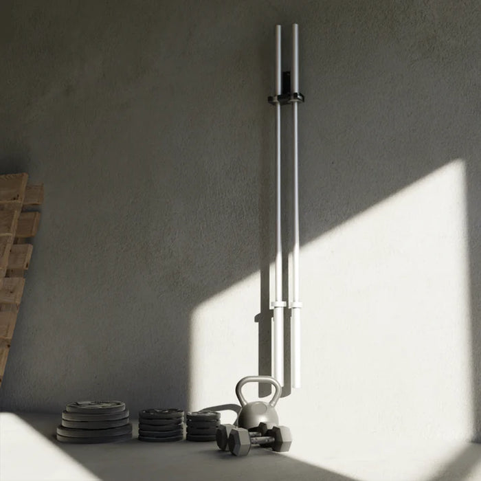 XM WALL MOUNTED DUAL BAR STORAGE SKU: 7132