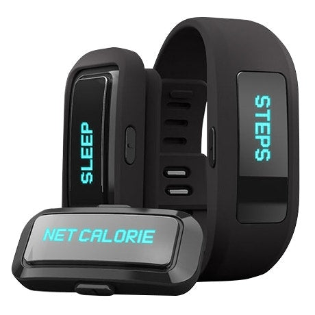 iFit Active Wristband